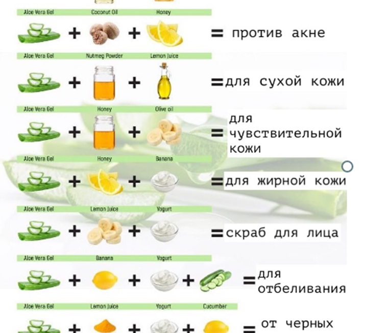АЛОЭ ВЕРА-ЧУДО СВОЙСТВА